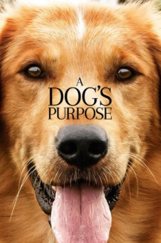 poster A Dog's Purpose  (2017)