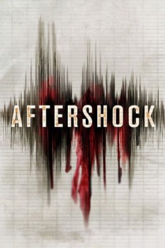 poster Aftershock  (2012)
