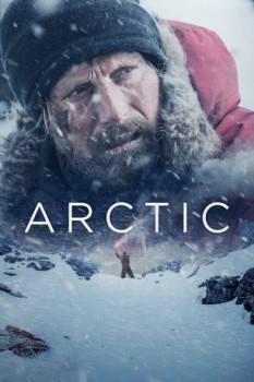 poster Arctic  (2018)
