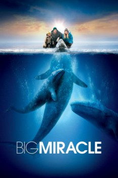 poster Big Miracle  (2012)
