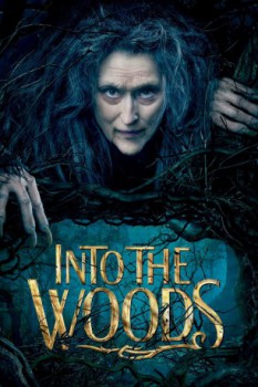 poster Into the Woods  (2014)