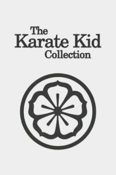 poster The Karate Kid Collection
