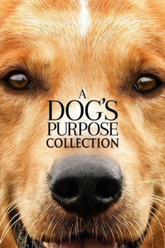 poster A Dog's Purpose Collection