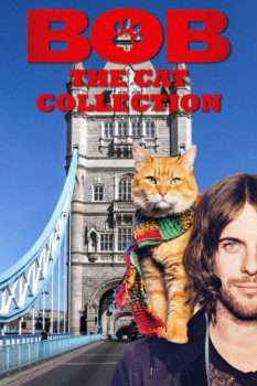 poster Bob The Cat Collection